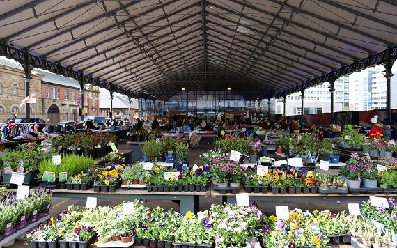 Plant stall at the Outdoor Market