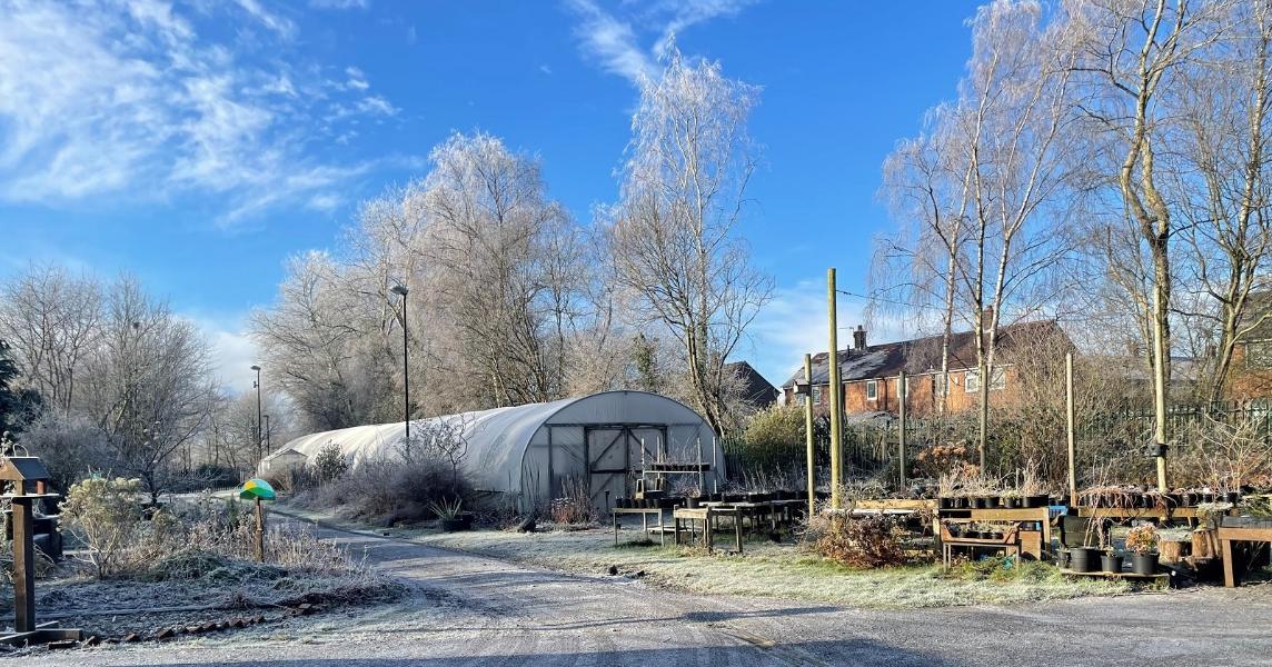 A garden on a frosty morning at Grange Community Garden.